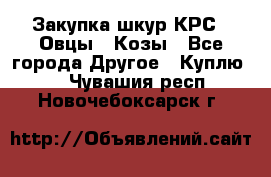 Закупка шкур КРС , Овцы , Козы - Все города Другое » Куплю   . Чувашия респ.,Новочебоксарск г.